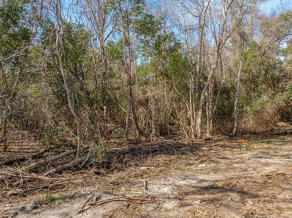 0.14 Acres of Residential Land for Sale in Apalachicola, Florida