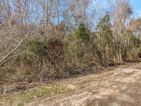 0.16 Acres of Residential Land for Sale in Apalachicola, Florida
