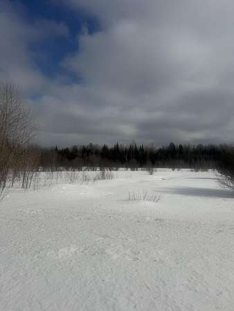 30 Acres of Recreational & Residential Land for Sale in Germfask, Michigan