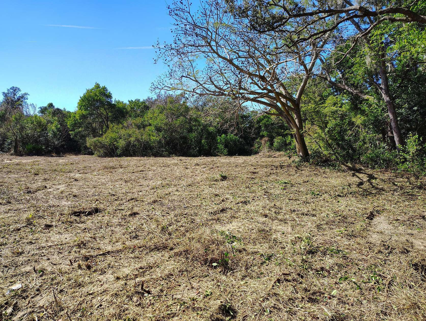 Residential Land for Sale in Sebring, Florida