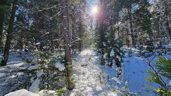 2.5 Acres of Residential Land for Sale in Mount Shasta, California