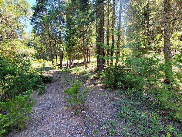 2.5 Acres of Residential Land for Sale in Mount Shasta, California