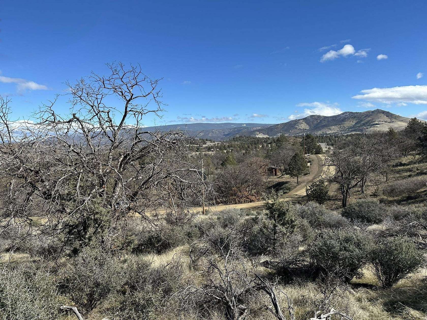 40 Acres of Recreational & Residential Land for Sale in Hornbrook, California