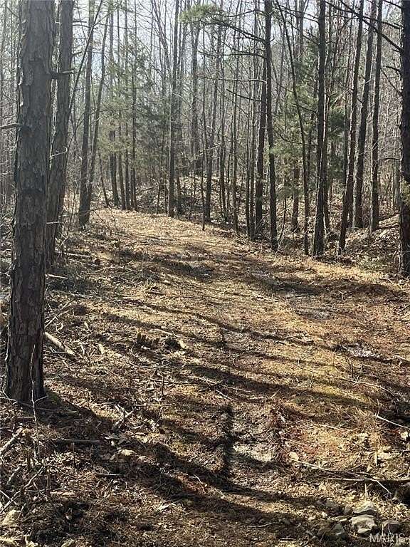 11 Acres of Recreational & Residential Land for Sale in Fredericktown, Missouri