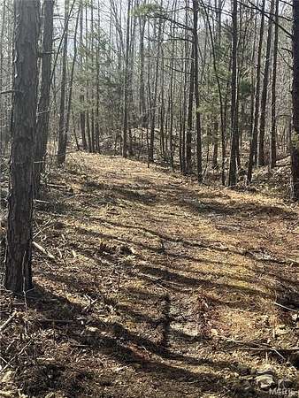 11 Acres of Recreational & Residential Land for Sale in Fredericktown, Missouri