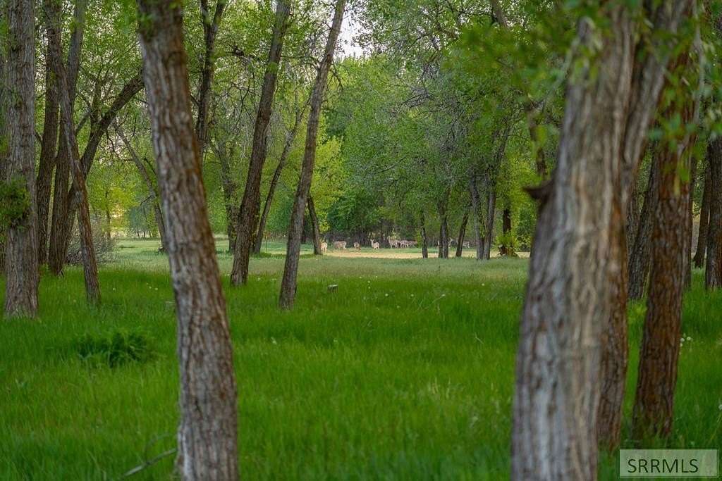 2.5 Acres of Residential Land for Sale in Rigby, Idaho