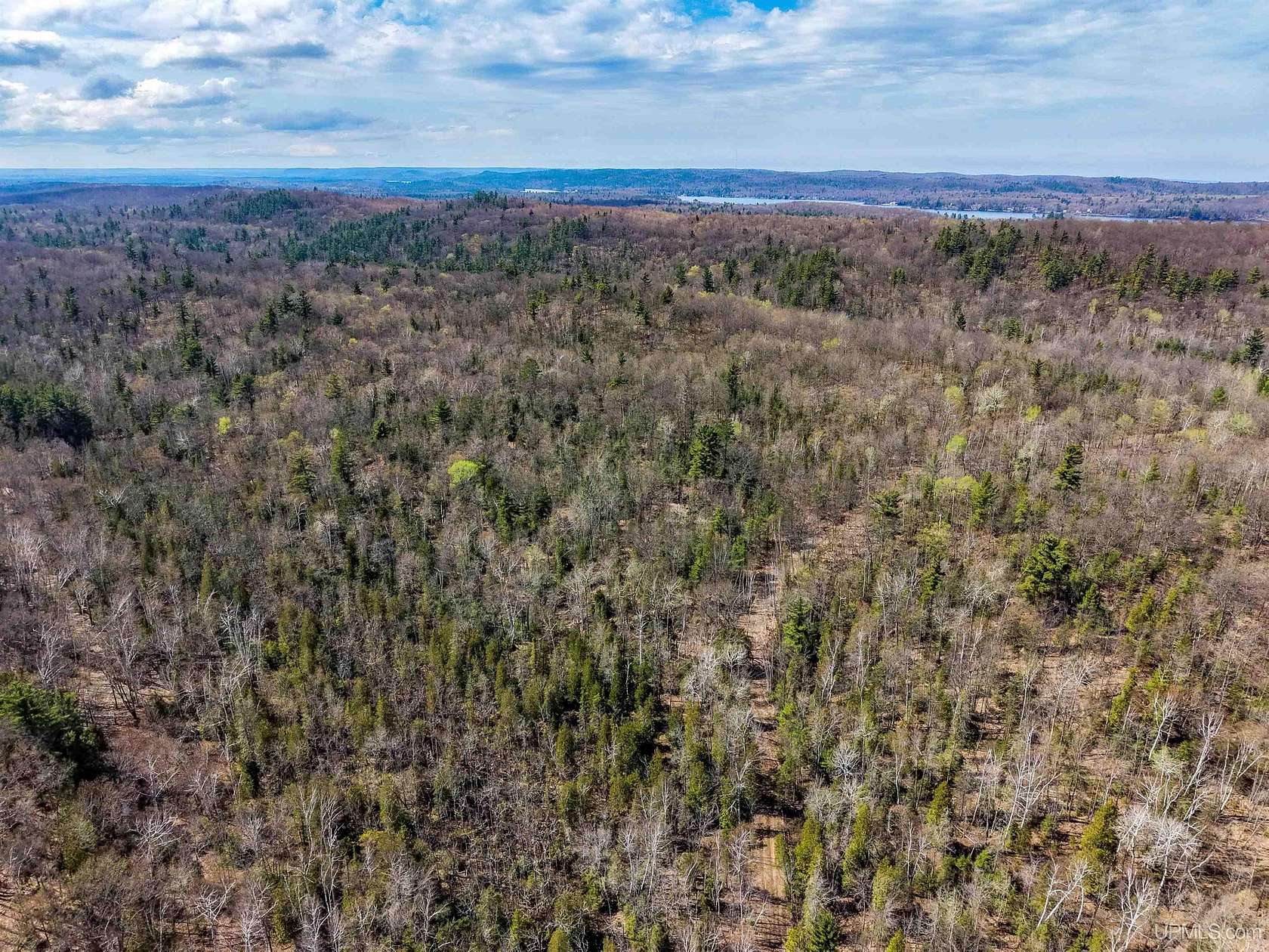 119 Acres of Recreational Land for Sale in Negaunee, Michigan