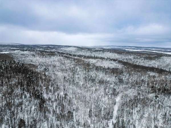 119 Acres of Recreational Land for Sale in Negaunee, Michigan