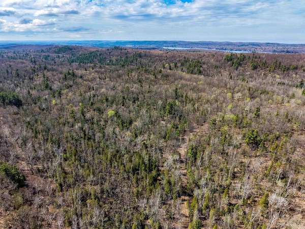 119 Acres of Recreational Land for Sale in Negaunee, Michigan