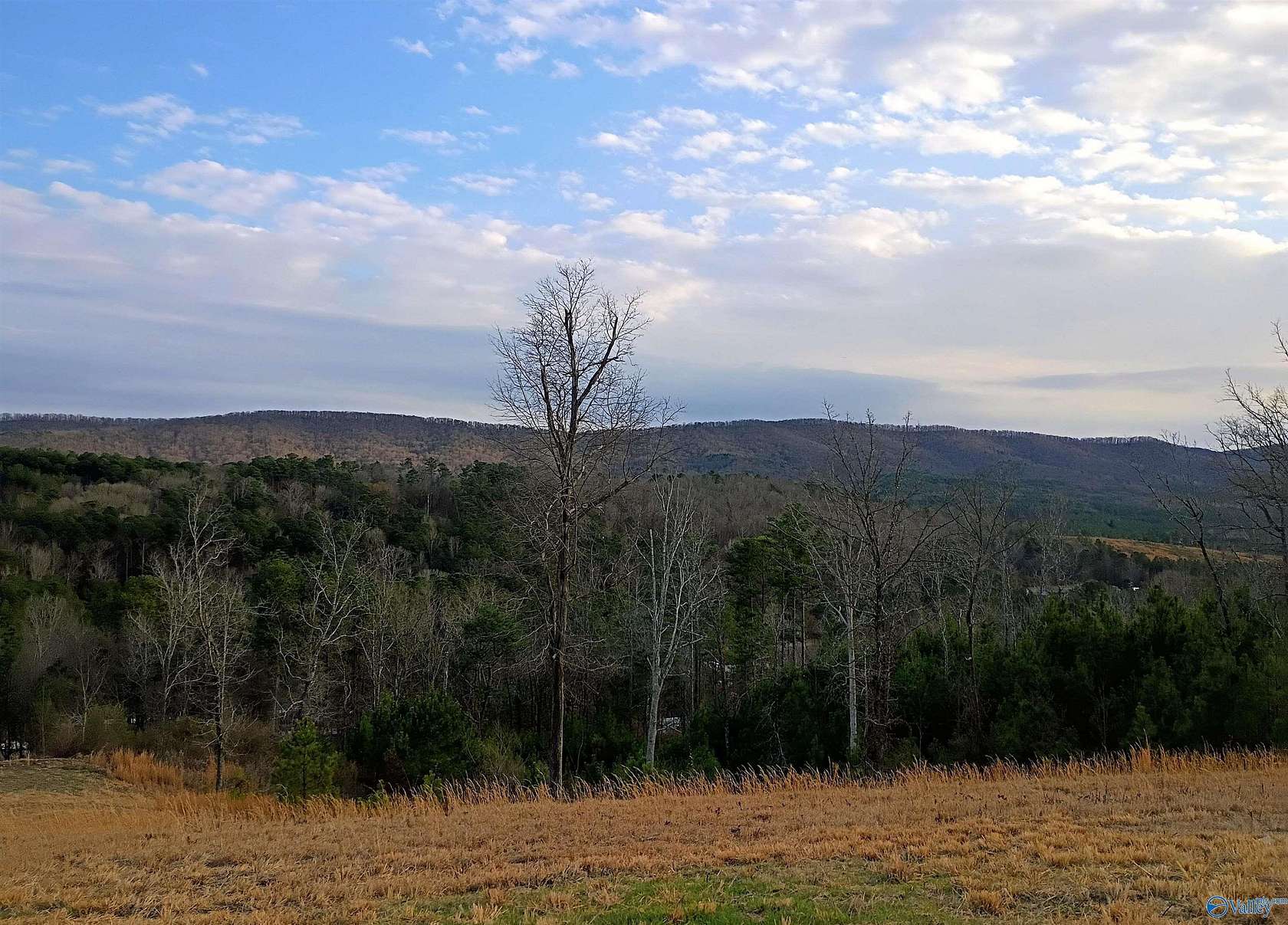 50 Acres of Recreational Land for Sale in Piedmont, Alabama