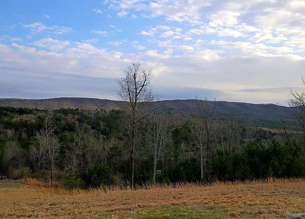 50 Acres of Recreational Land for Sale in Piedmont, Alabama