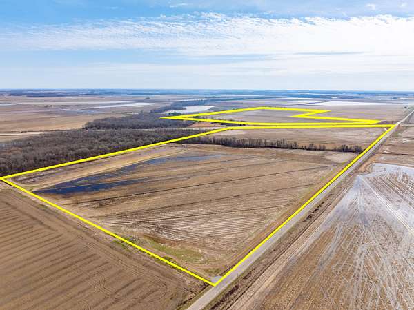185 Acres of Land for Sale in Swifton, Arkansas