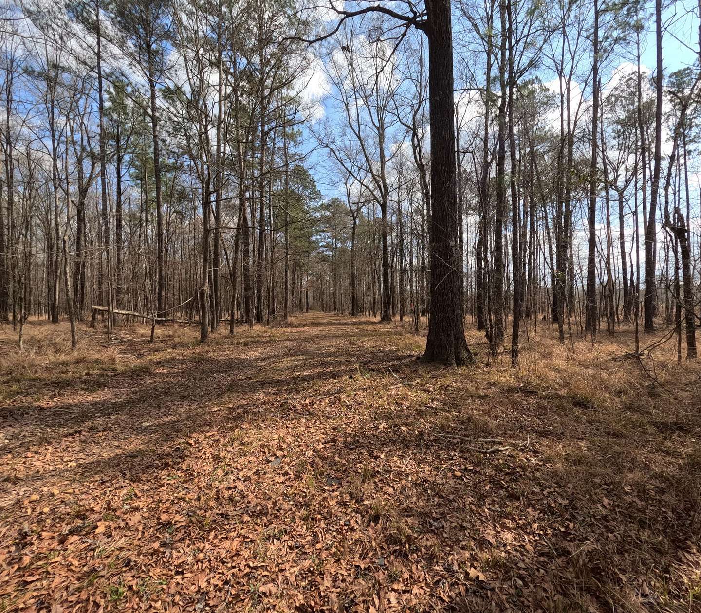 137 Acres of Recreational Land for Sale in New Hebron, Mississippi