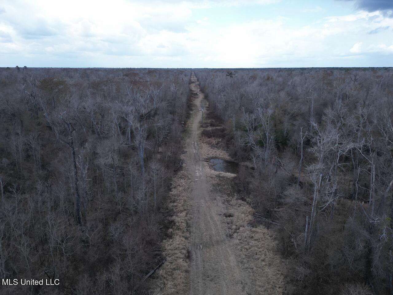 700 Acres of Land for Sale in Reeves, Louisiana