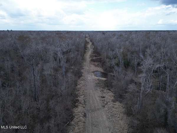700 Acres of Land for Sale in Reeves, Louisiana