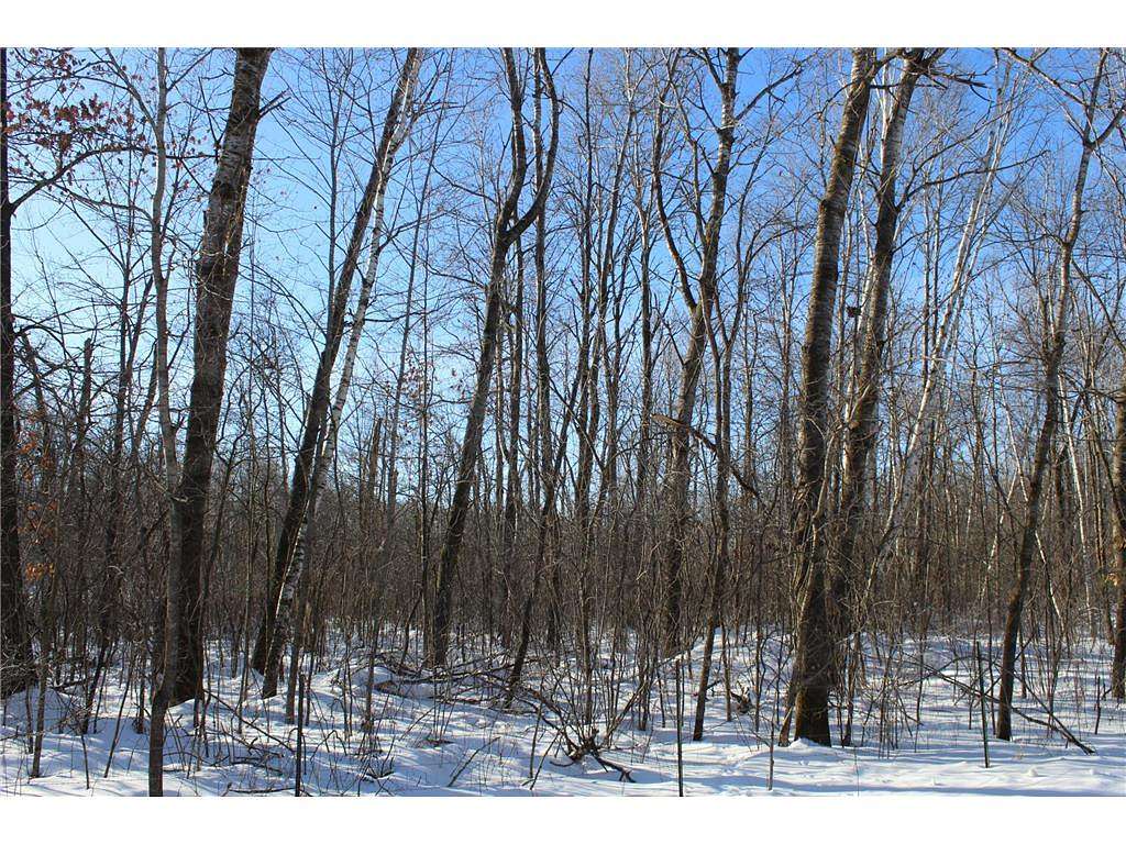 40 Acres of Land for Sale in Milaca, Minnesota