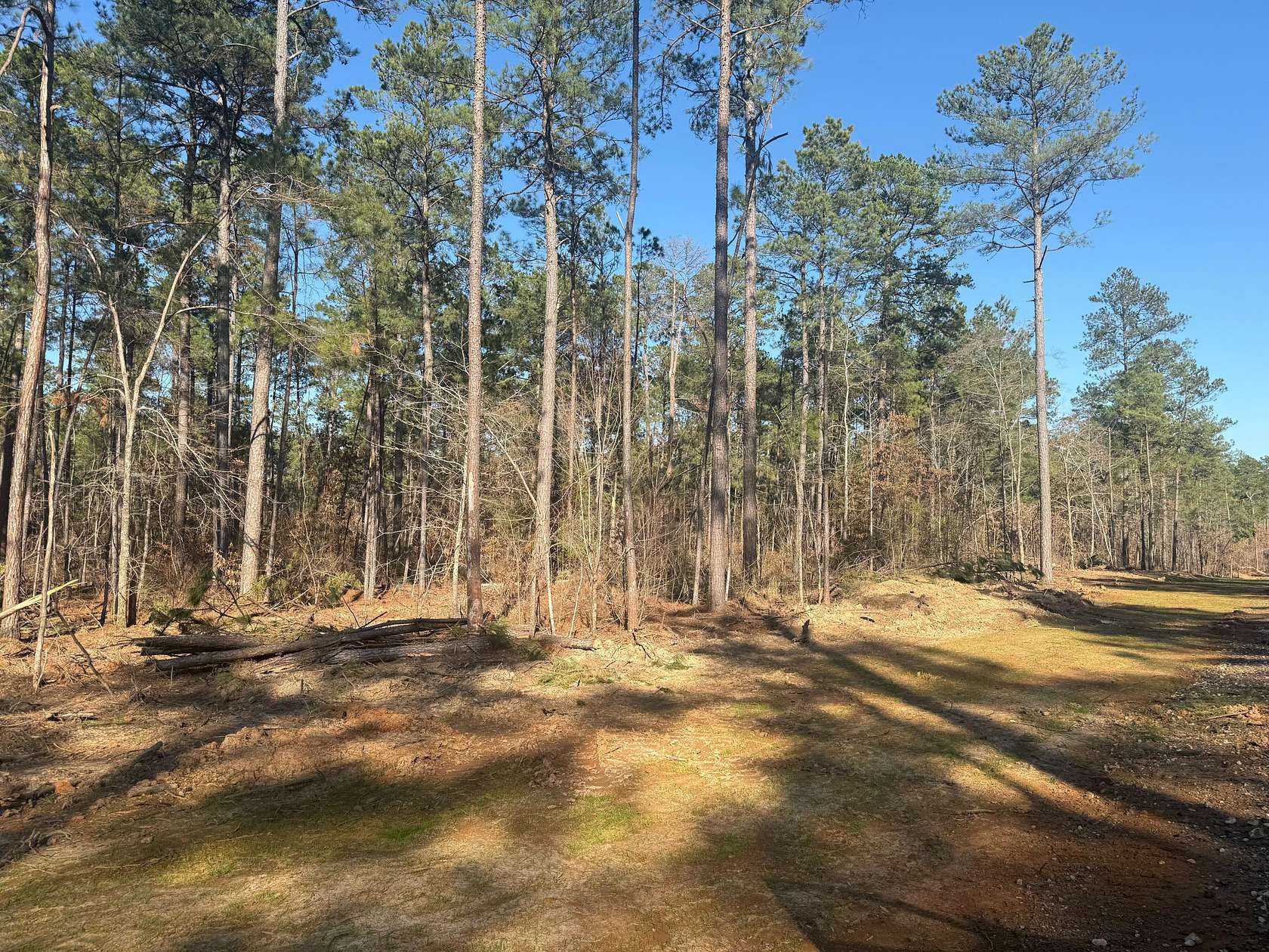 9 Acres of Land for Sale in Ruston, Louisiana