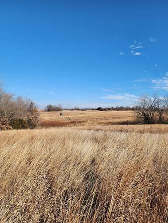 110 Acres of Land for Sale in Browning, Missouri