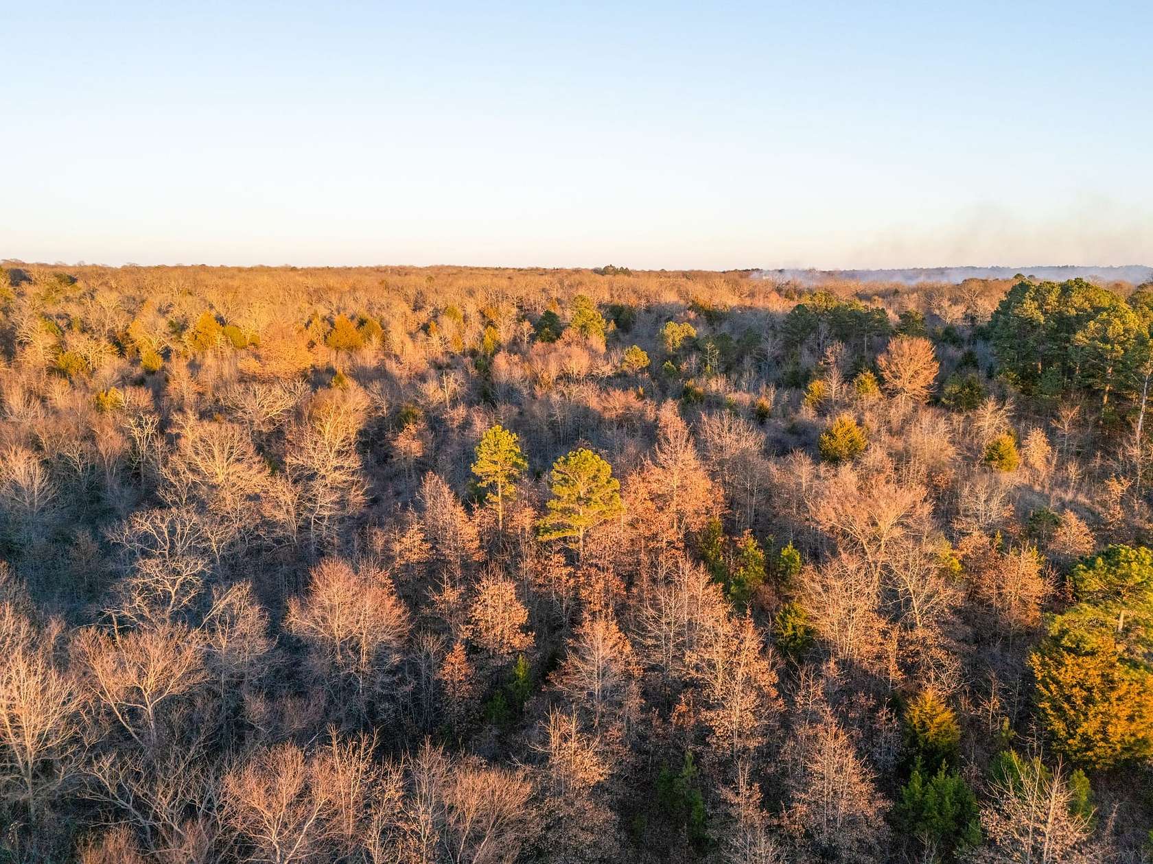 40 Acres of Land for Sale in Lane, Oklahoma