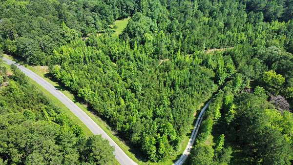 13 Acres of Recreational & Residential Land for Sale in Wadley, Alabama