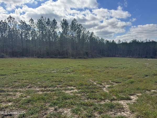 220 Acres of Land for Sale in Magnolia, Mississippi