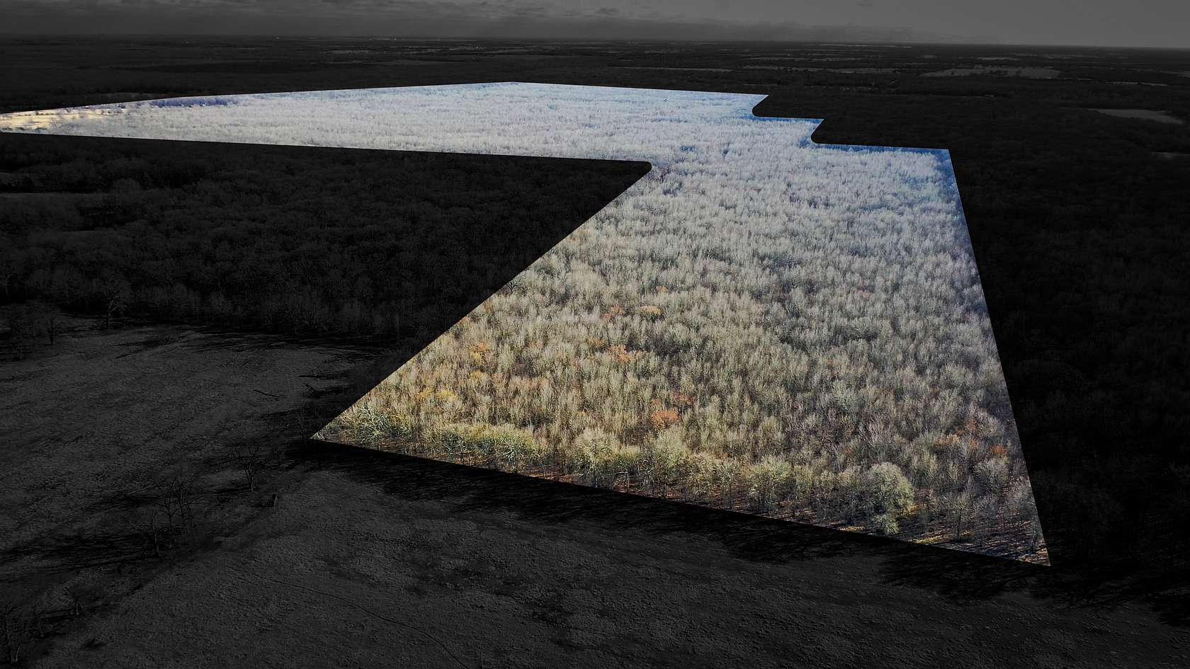 228 Acres of Land for Sale in Detroit, Texas