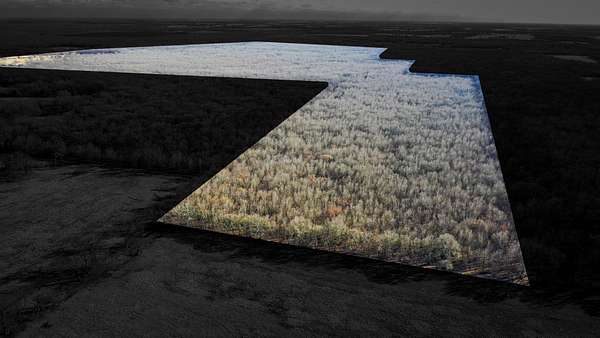 228 Acres of Land for Sale in Detroit, Texas