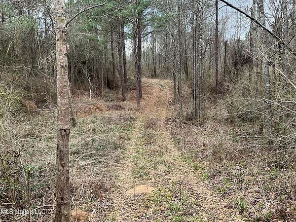 171 Acres of Land for Sale in Gloster, Mississippi