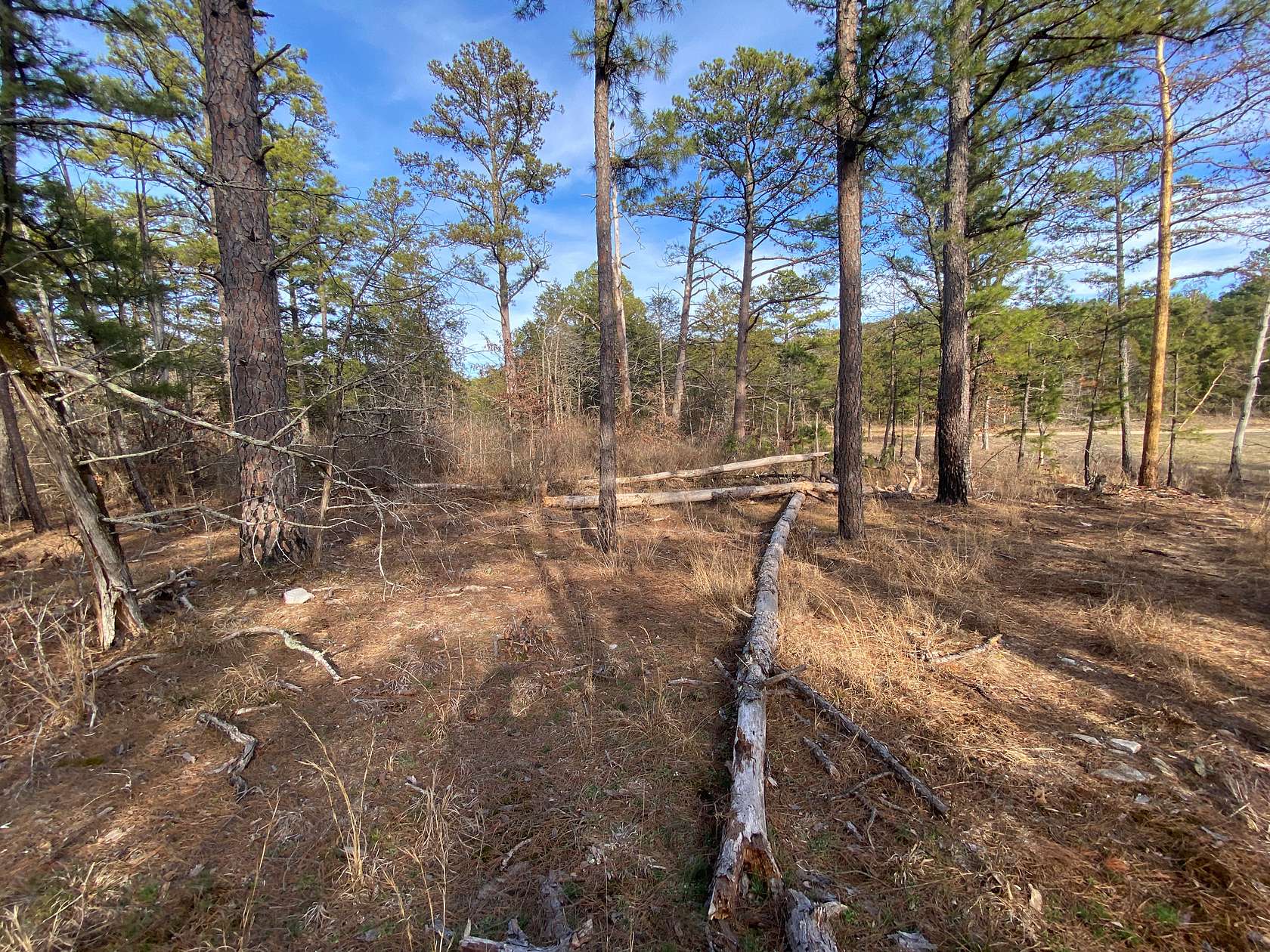 3.19 Acres of Land for Sale in Melbourne, Arkansas