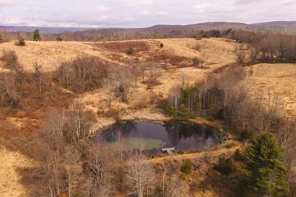 243 Acres of Land for Auction in Pearisburg, Virginia