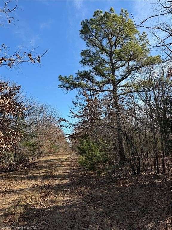 20 Acres of Recreational Land for Sale in Atoka, Oklahoma