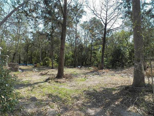 1 Acre of Residential Land for Sale in Spring Hill, Florida