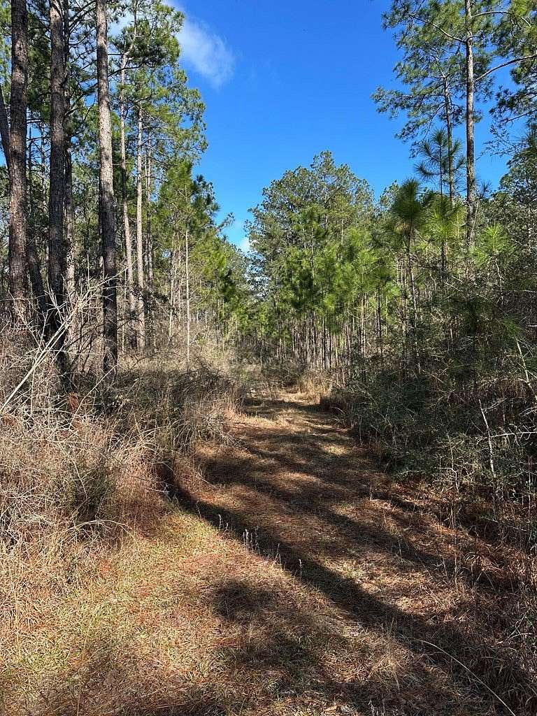 14.2 Acres of Land for Sale in Poplarville, Mississippi