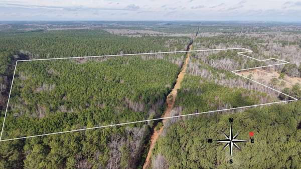 51 Acres of Recreational & Residential Land for Sale in McCalla, Alabama