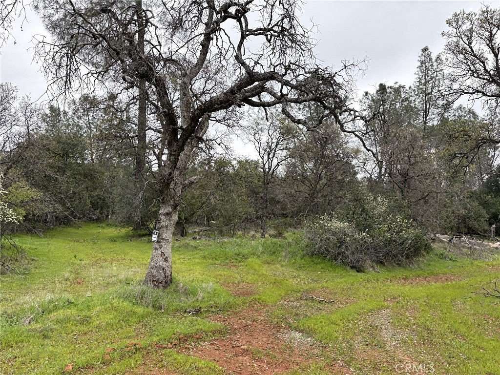 13.3 Acres of Land for Sale in Oroville, California