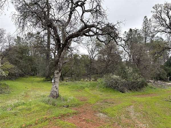 13.3 Acres of Land for Sale in Oroville, California