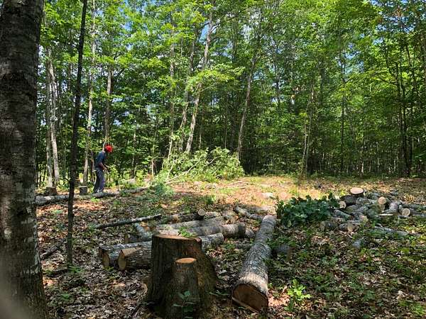 6.5 Acres of Land for Sale in Liberty, Maine