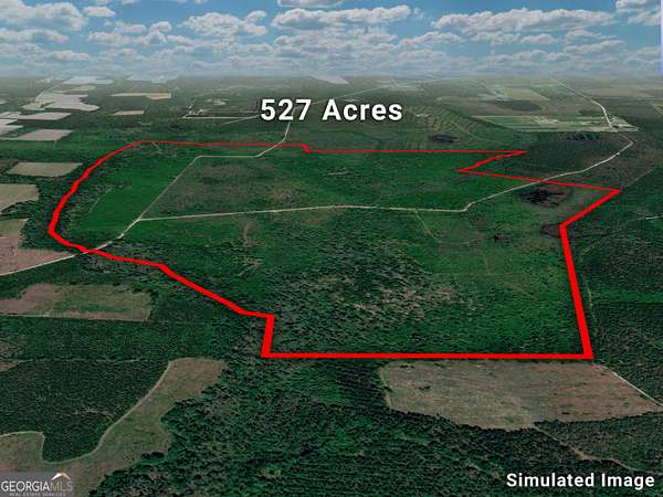 527 Acres of Land for Sale in Waycross, Georgia