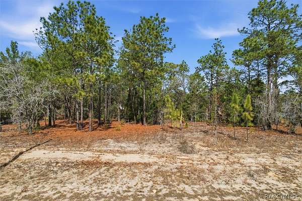 0.23 Acres of Residential Land for Sale in Citrus Springs, Florida