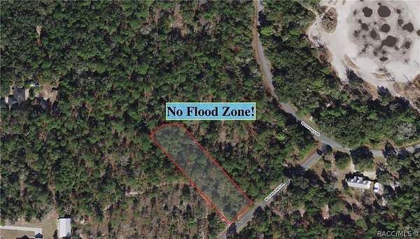 1 Acre of Land for Sale in Crystal River, Florida