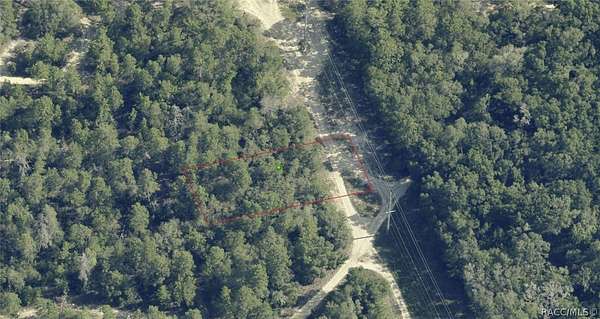 0.32 Acres of Residential Land for Sale in Inverness, Florida