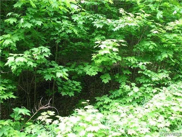 1.8 Acres of Residential Land for Sale in Salamanca, New York