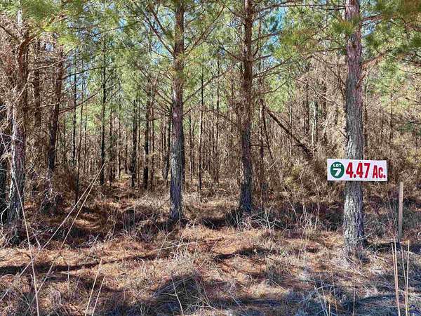 4.47 Acres of Residential Land for Sale in Glenwood, Georgia