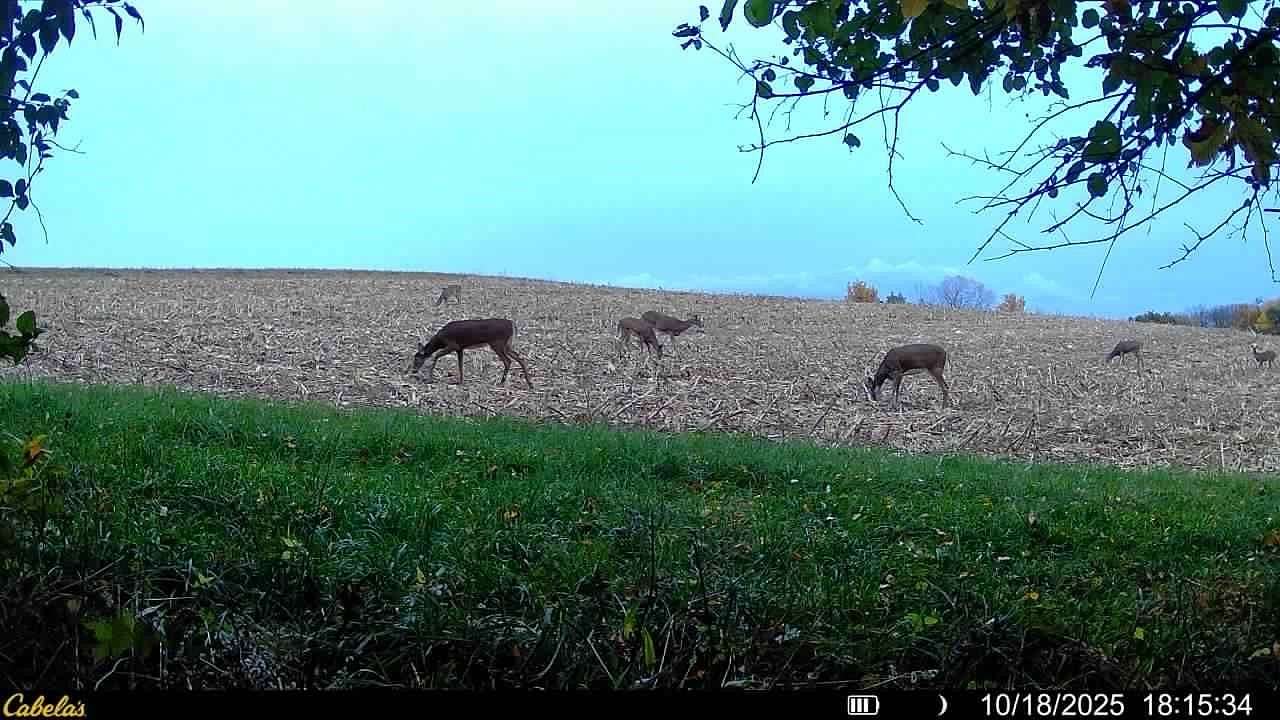 51 Acres of Land for Sale in Prairie du Chien, Wisconsin