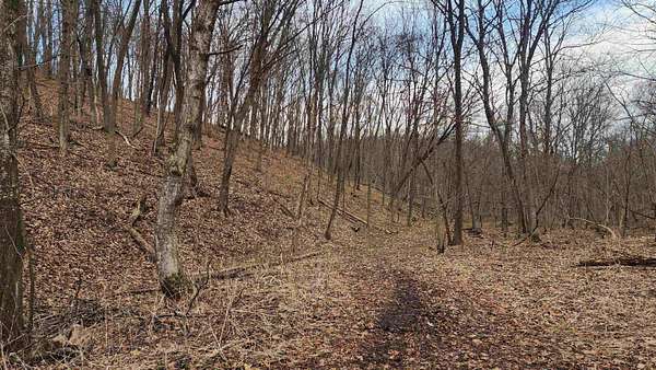 51 Acres of Land for Sale in Prairie du Chien, Wisconsin