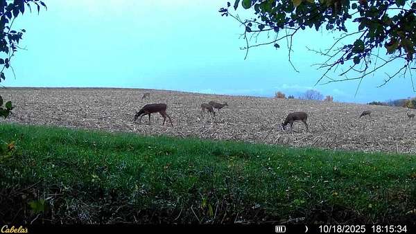 51 Acres of Land for Sale in Prairie du Chien, Wisconsin