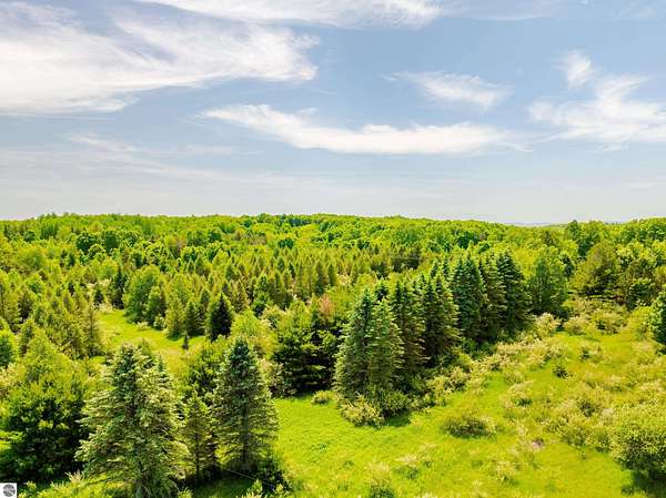 10 Acres of Residential Land for Sale in Thompsonville, Michigan