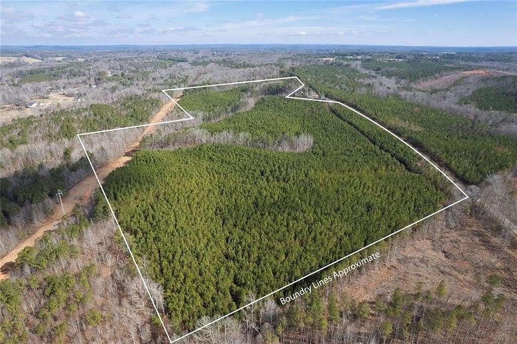 65.8 Acres of Agricultural Land for Sale in Buchanan, Georgia