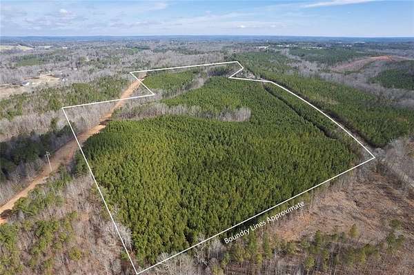 65.8 Acres of Agricultural Land for Sale in Buchanan, Georgia