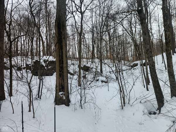 18.7 Acres of Recreational & Residential Land for Sale in North Vernon, Indiana